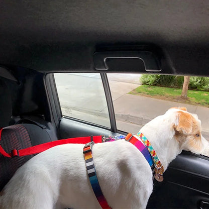 Keep Your Pet Secure & Comfy on the Go: The All-in-One Pet Car Seat Belt (Doesn't Occupy a Whole Seat!) - Wags & Whiskers