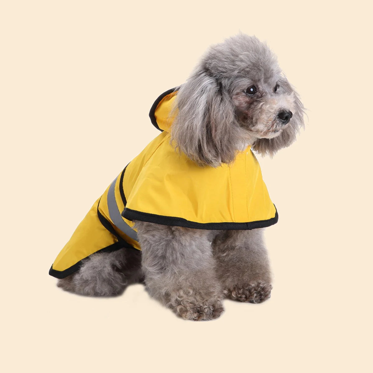 dog rain coat yellow with stripe side right with dog