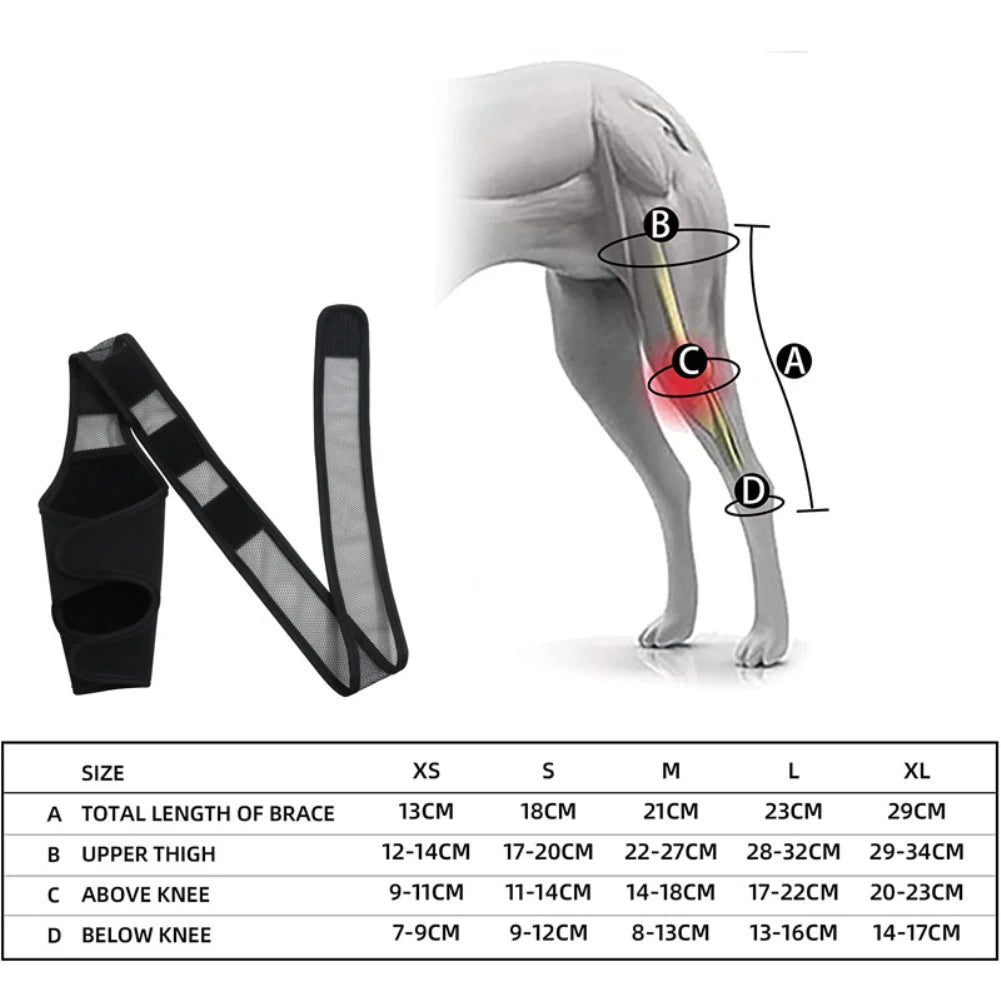 Supportive Dog Knee Brace for Injury & Recovery - Wags & Whiskers