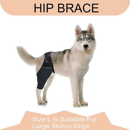 Supportive Dog Knee Brace for Injury & Recovery - Wags & Whiskers