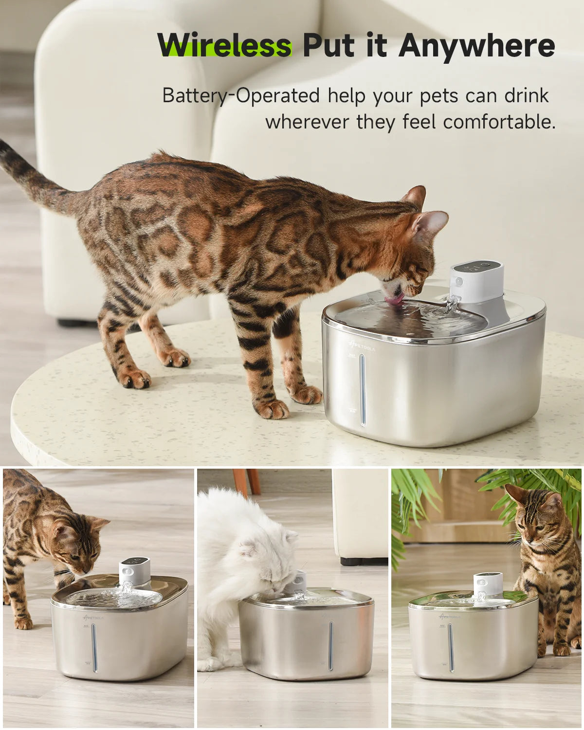 Fresh Flow for Pets: Wireless Water Fountain with Motion Sensor - Wags & Whiskers